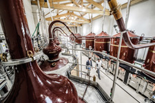 Distillery of the Maison Rémy Martin - Cognac