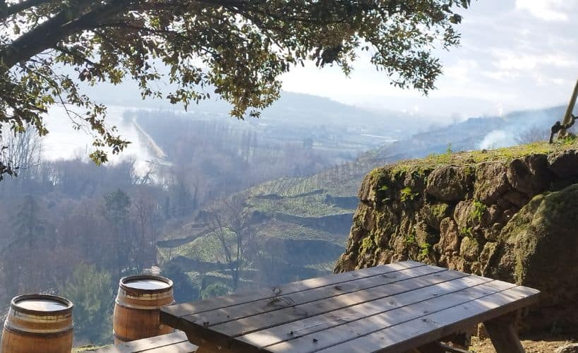 Domaine de Corps de Loup - Wine tourism in France