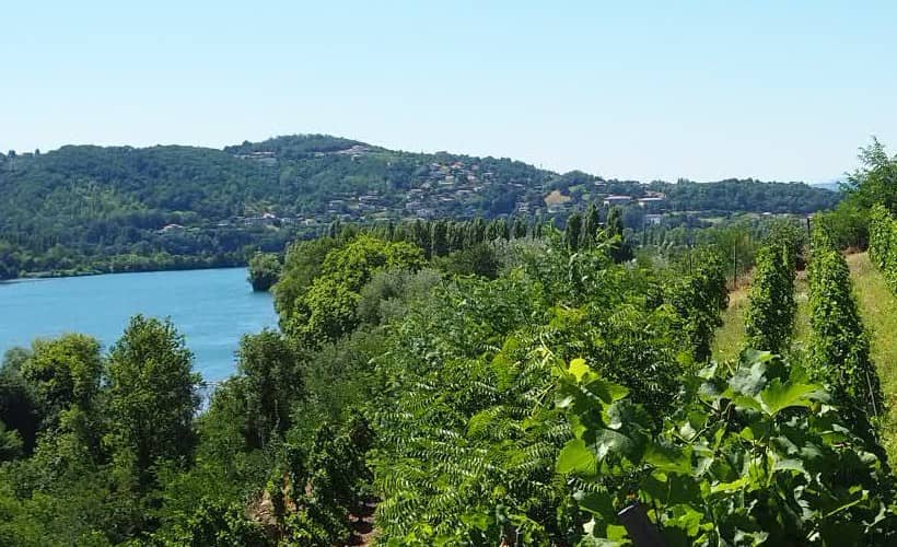 Domaine de Corps de Loup - Tupin-et-Semons - France