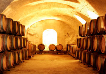 Domaine de Corps de Loup - Estate tour