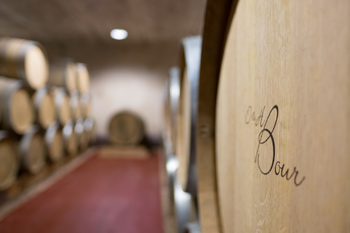 Domaine de Grangeneuve - Cellar