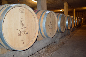 Domaine Debray - Cellar