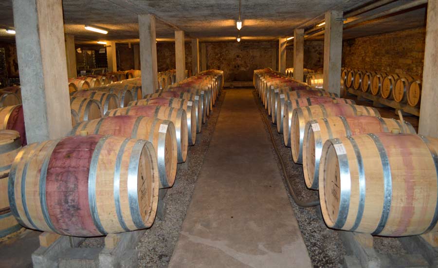 Domaine Debray - Beaune - Wine cellar