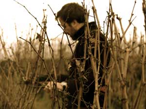 Thierry Germain from the Domaine des Roches Neuves