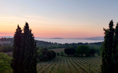 Domaine du Deffend, organic wine estate in Provence