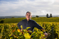 Domaine Eric Louis in Sancerre