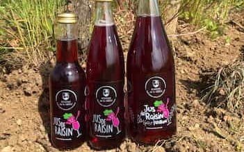 Domaine de la Grezille - Jus de raisins