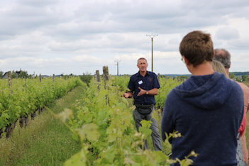 Domaine de la Grezille - Visite dans les vignes