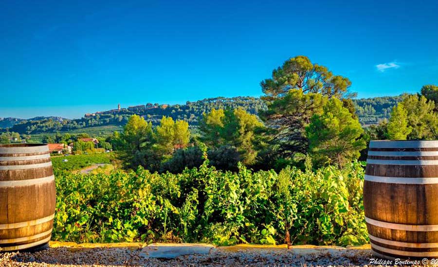 Domaine Lou Capelan - Provence - Winery
