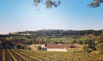 Domaine Lou Capelan - Provence - Wine tourism