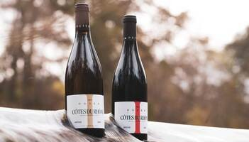 Maison Ogier - Wines