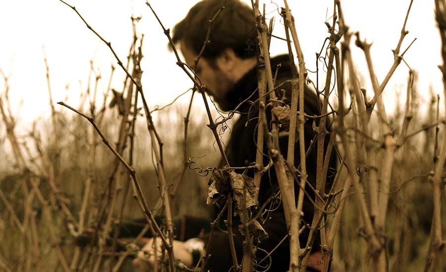 Domaine des Roches Neuves - Thierry Germain