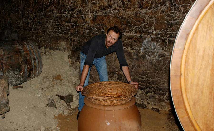 Domaine des Roches Neuves - Thierry Germain - Saumur-Champigny