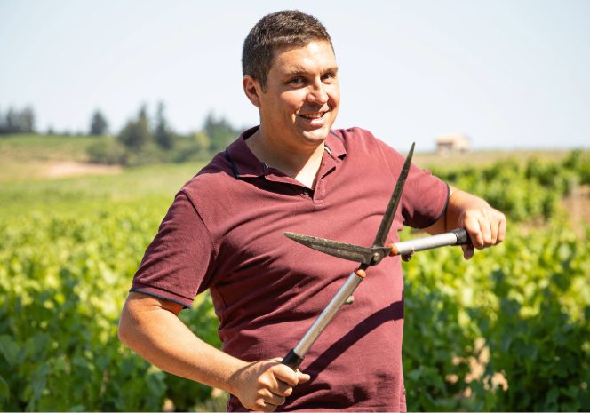 Domaine Steeve Charvet - Winemaker - Beaujolais