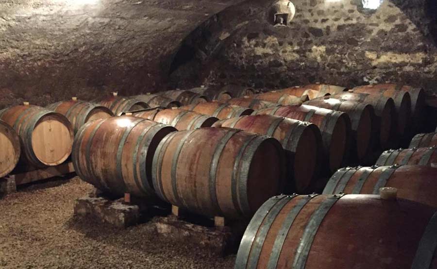 Domaine Steeve Charvet - Beaujolais - Cave