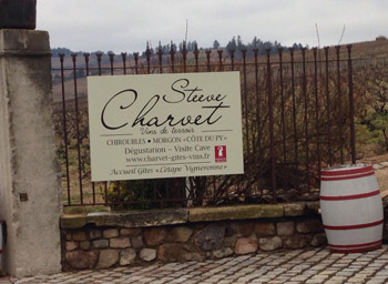Domaine Steeve Charvet - Beaujolais - Wine estate Tour