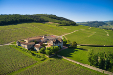 Domaine viticole dans le Mâconnais en Bourgogne Sud