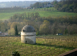 Vignes en Entre-deux-Mers