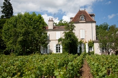 Escapade autour d'Aloxe-Corton