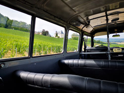 Vintage van tour in the vines in Champagne