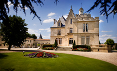 Wine estate in Graves - Bordeaux