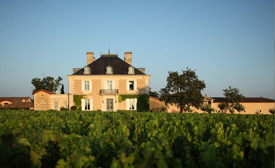 Château Haut-Bailly - Bordeaux - Graves