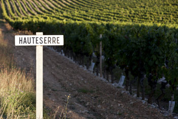 Château de Haute-Serre - Cahors - Vineyard