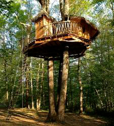 Hébergement - Cabane dans les arbres près de Saint-Emilion