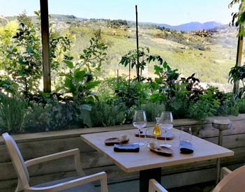 Hostellerie Bérard - Bandol - Vue