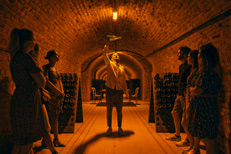 Immerse yourself in the world of Champagne winemakers