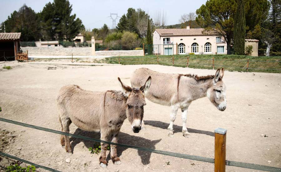 Maison d'hôtes La Milane - Extérieur