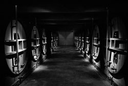 Champagne Jacquesson - Domaine