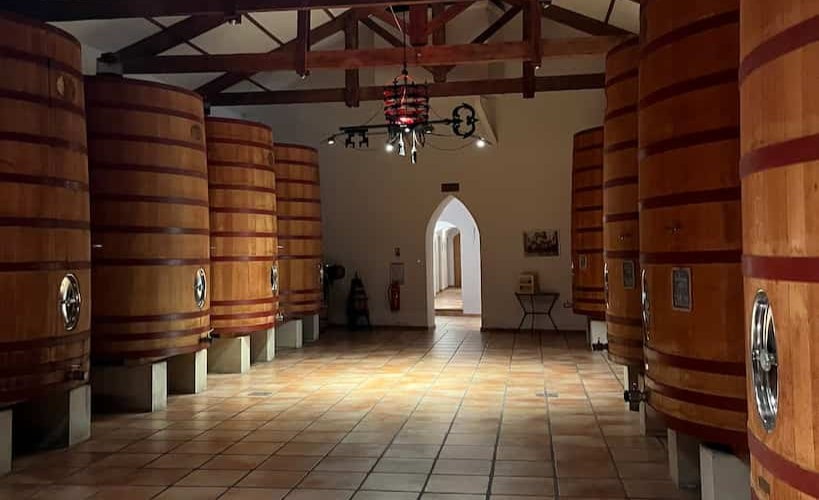Maison Ogier - Cellar tour