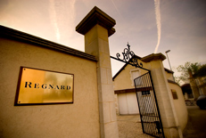 Maison Régnard in Chablis