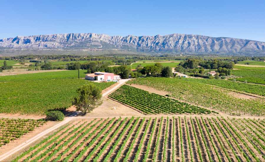 Mas de Cadenet - Provence - Wine tourism