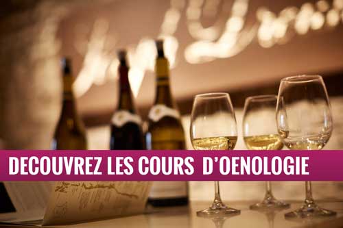 Oenologie - Cours dégustation