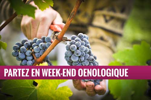 Oenologie - Week-end vin