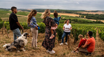 Domaine Gueguen - Balade dans le vignoble de Chablis