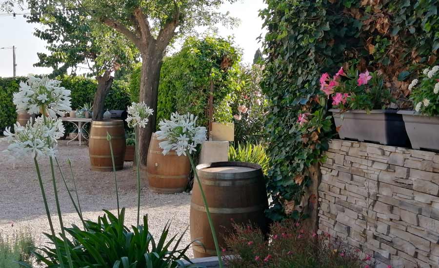 A l’Orée Des Vignes - Occitanie - Maison d'hôtes