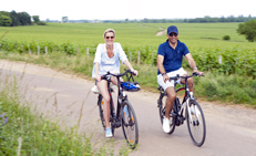 Explore the vineyard by bike