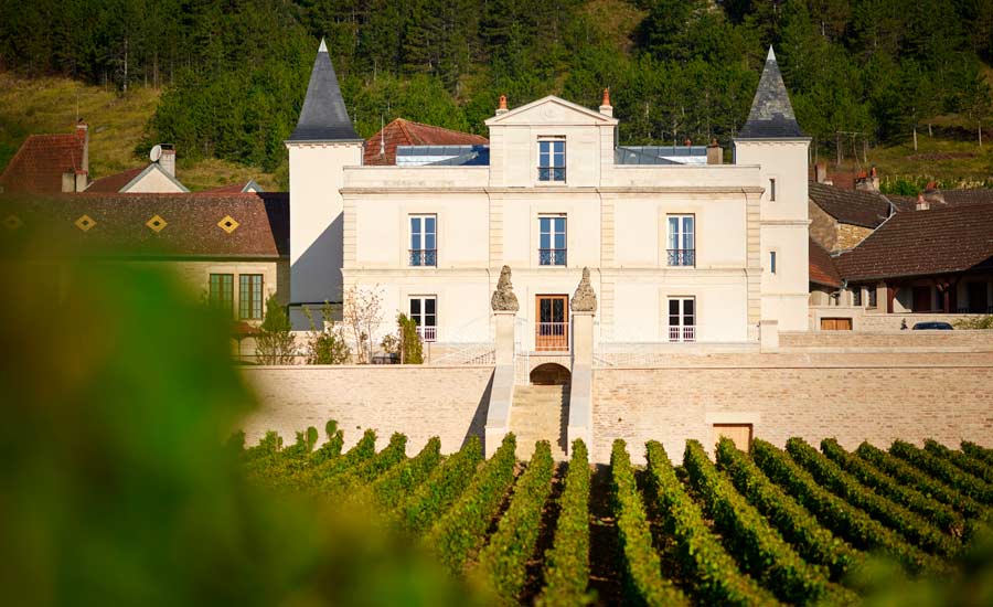 Prosper Maufoux - Château de Saint-Aubin - Vines