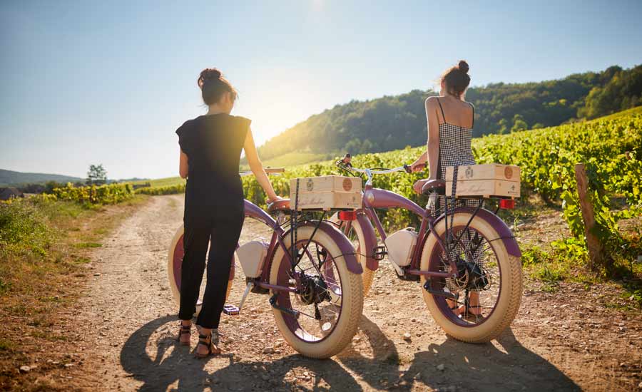 Prosper Maufoux - Château de Saint-Aubin - Bike rental