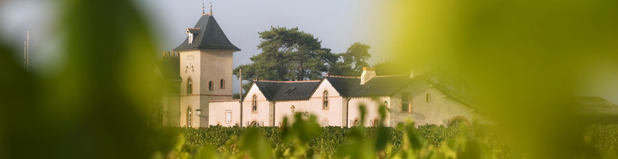 Vignoble de la Loire