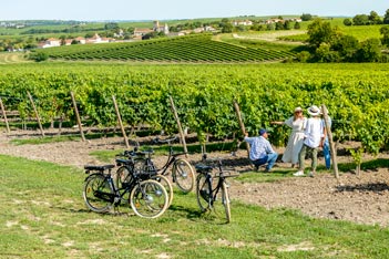 Maison Rémy Martin - Cognac - Wine tourism