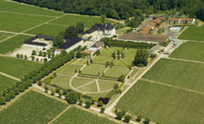 Beaujolais vineyard