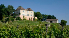 On the Bergerac wine route