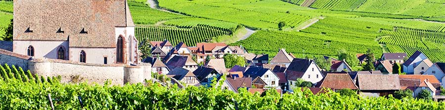 Route des vins Alsace