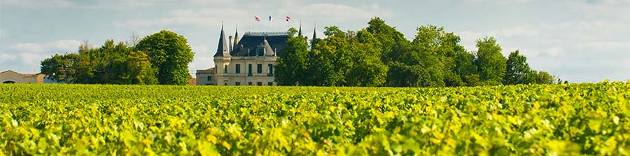 Route des vins Bordeaux