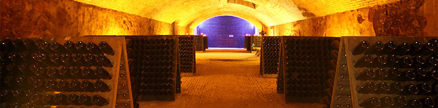 The Champagne Wine Route