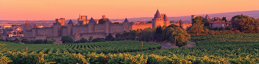 Vignoble du Languedoc-Roussillon